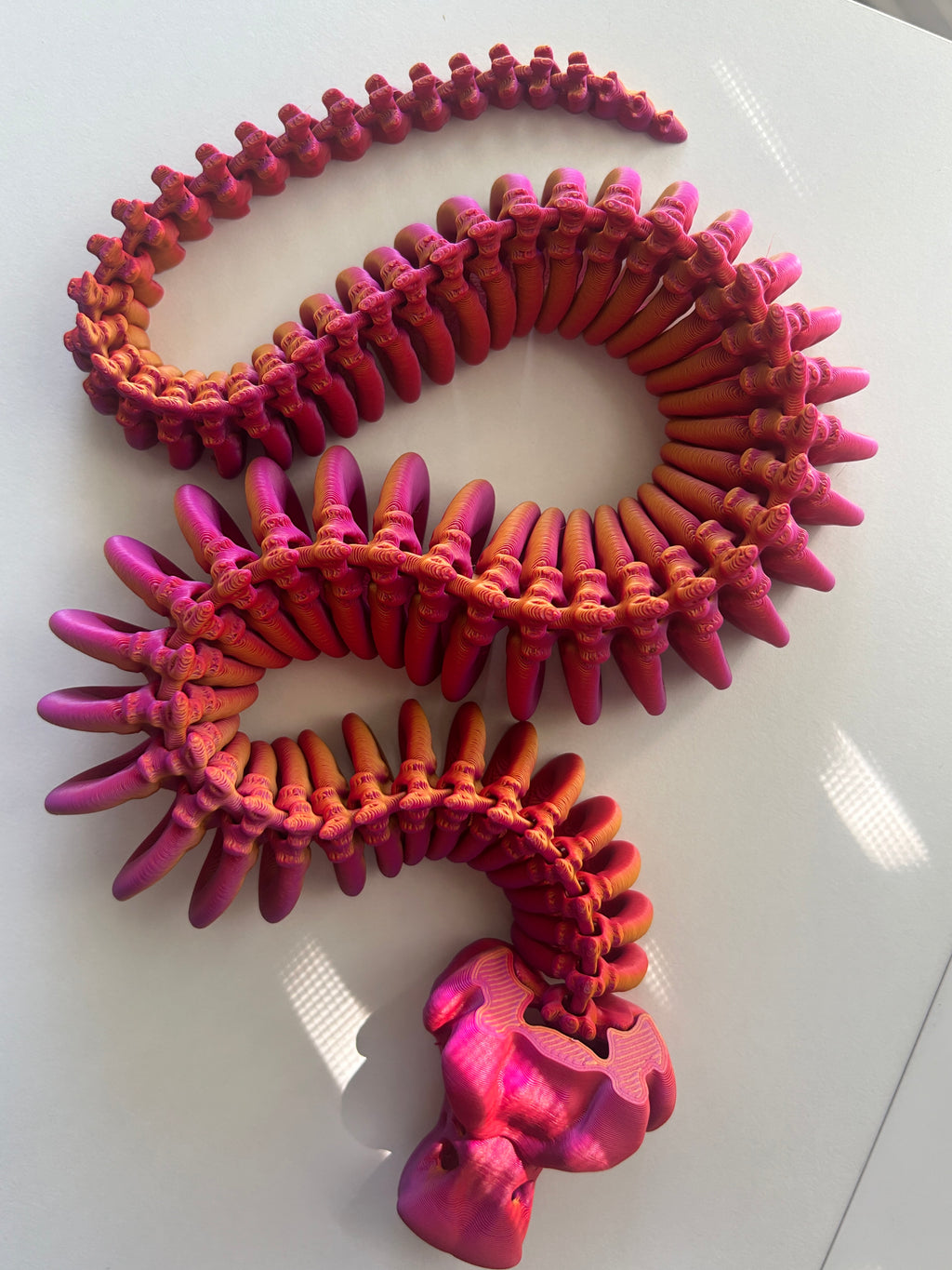 Bare Bones Collection - 3D Printed Skeletons