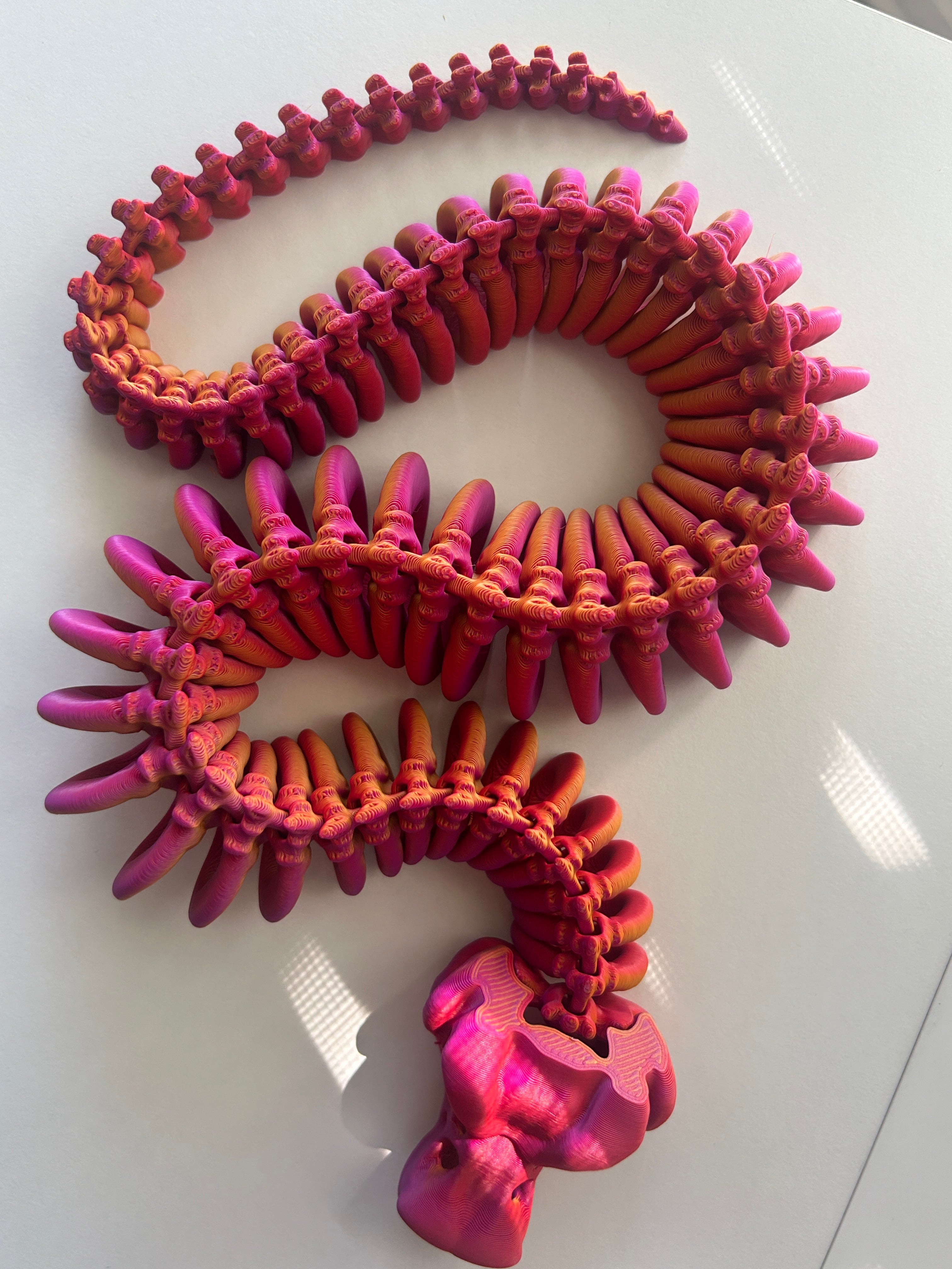 Bare Bones Collection - 3D Printed Skeletons