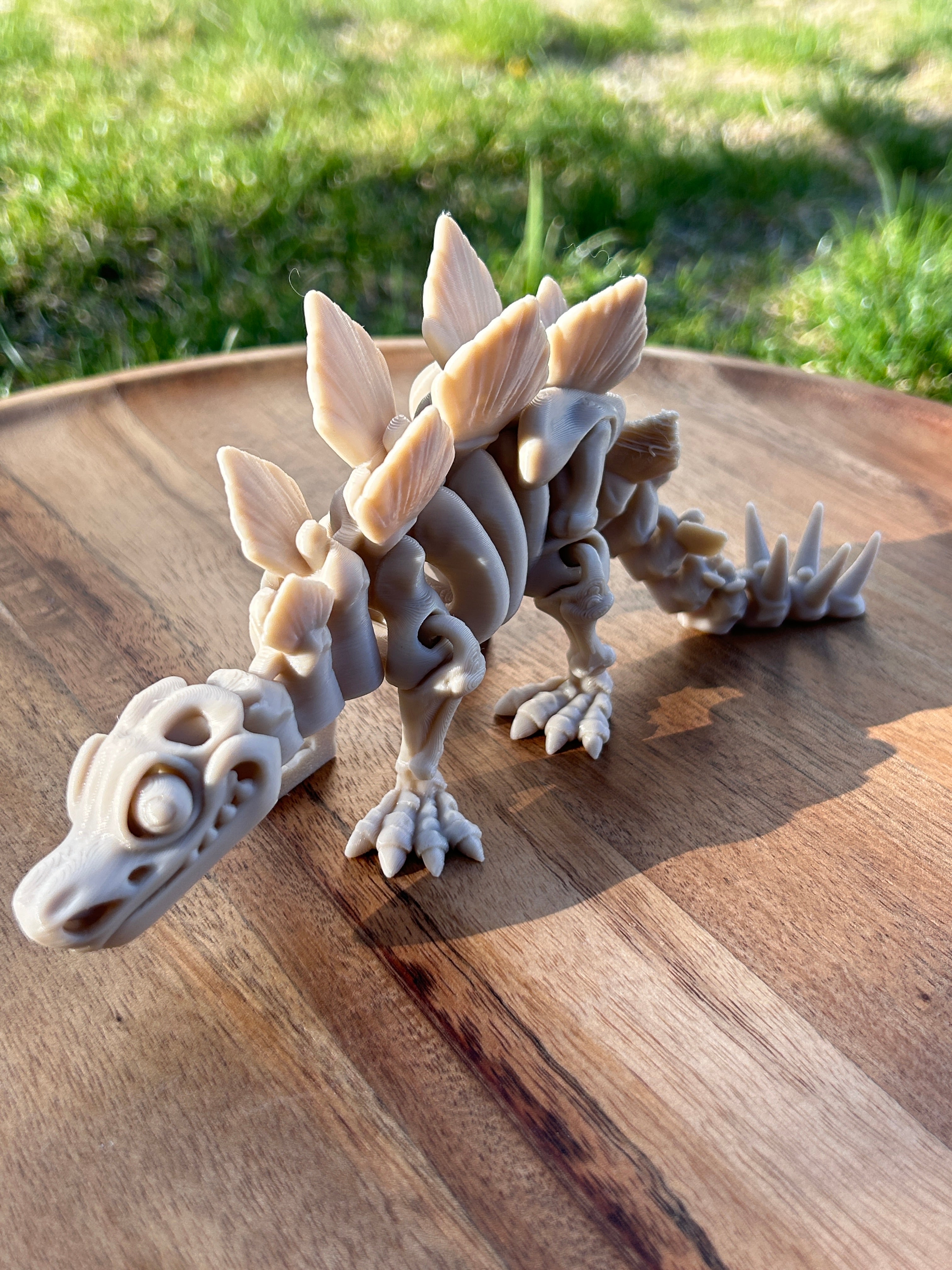 Bare Bones Collection - 3D Printed Skeletons