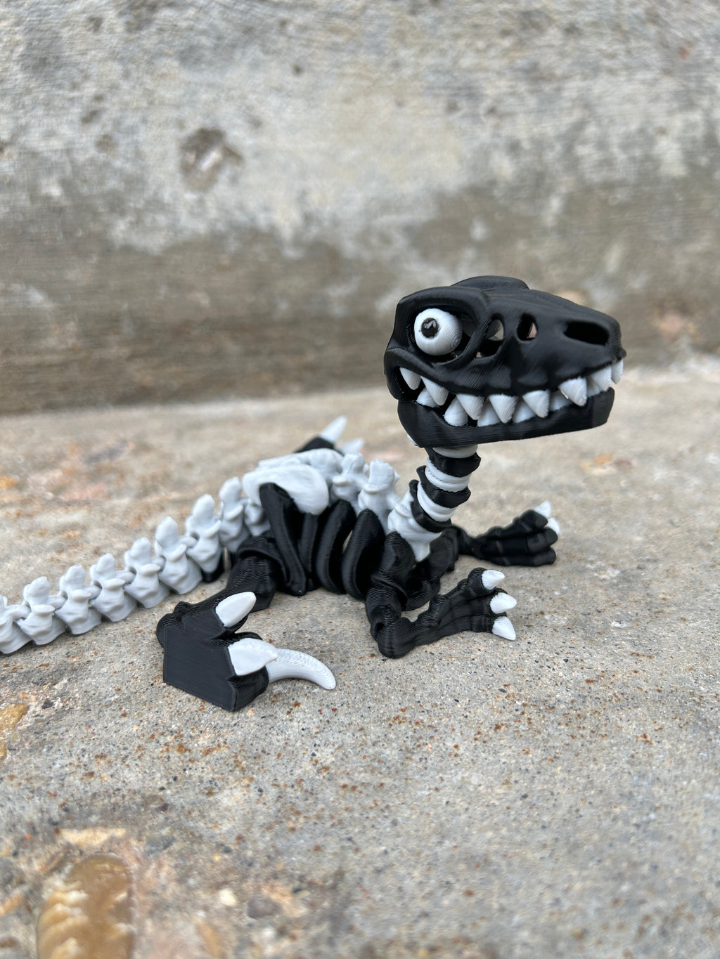 Bare Bones Collection - 3D Printed Skeletons