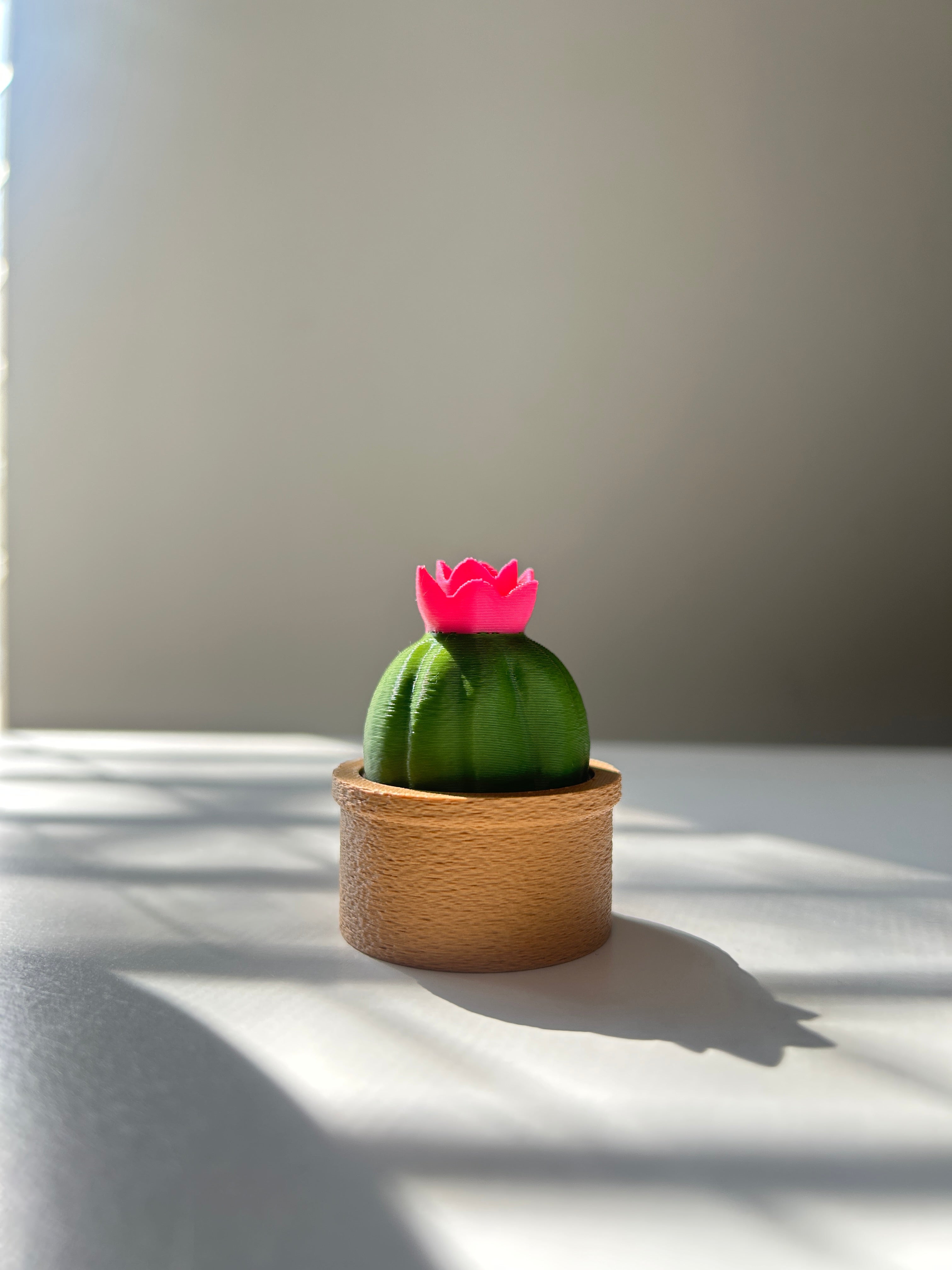 Small Cactus Succulent Fidget Clicker with a pink flower on a white surface.