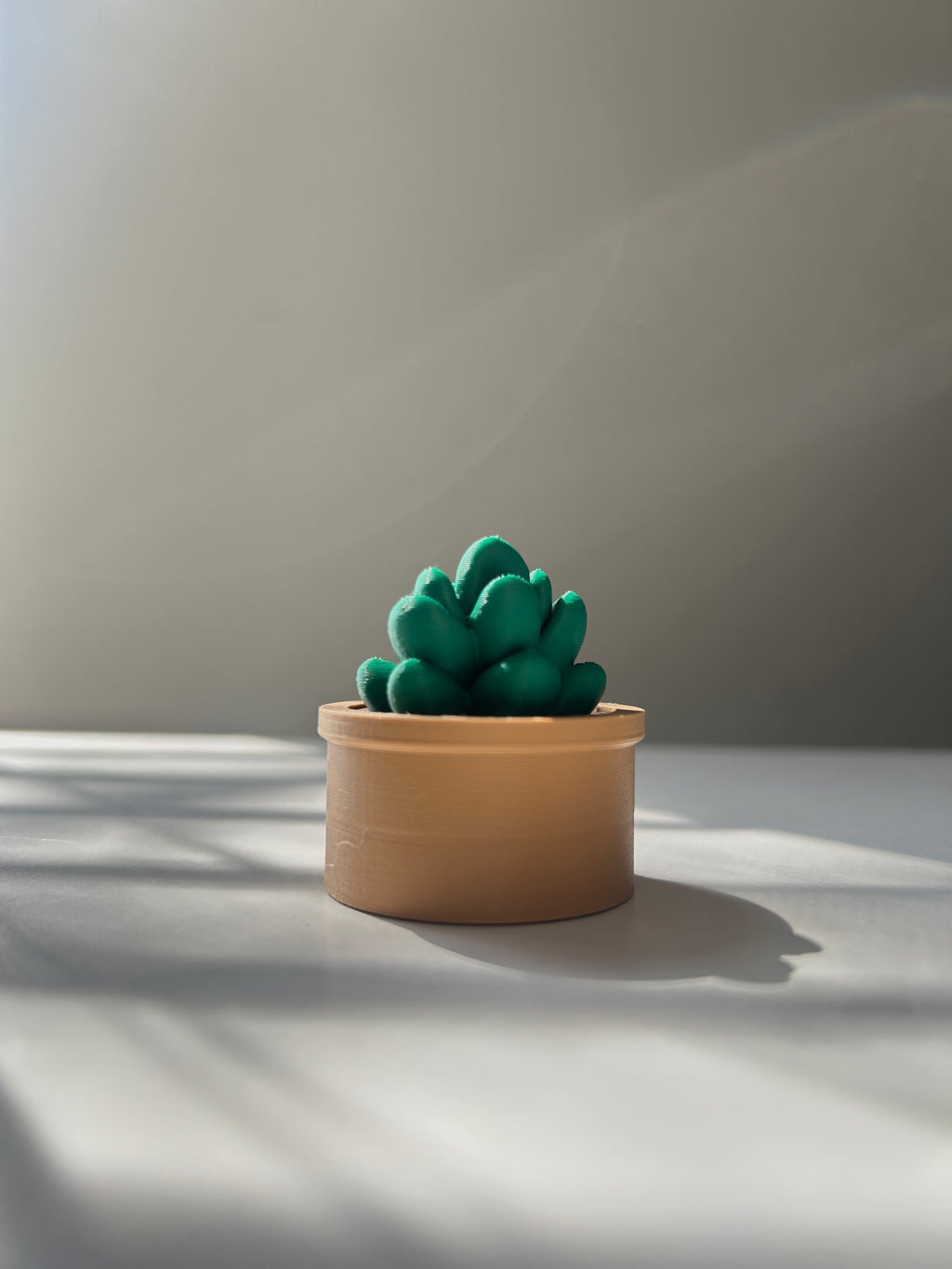 Small Succulent potted plant Fidget Clicker on a white surface.