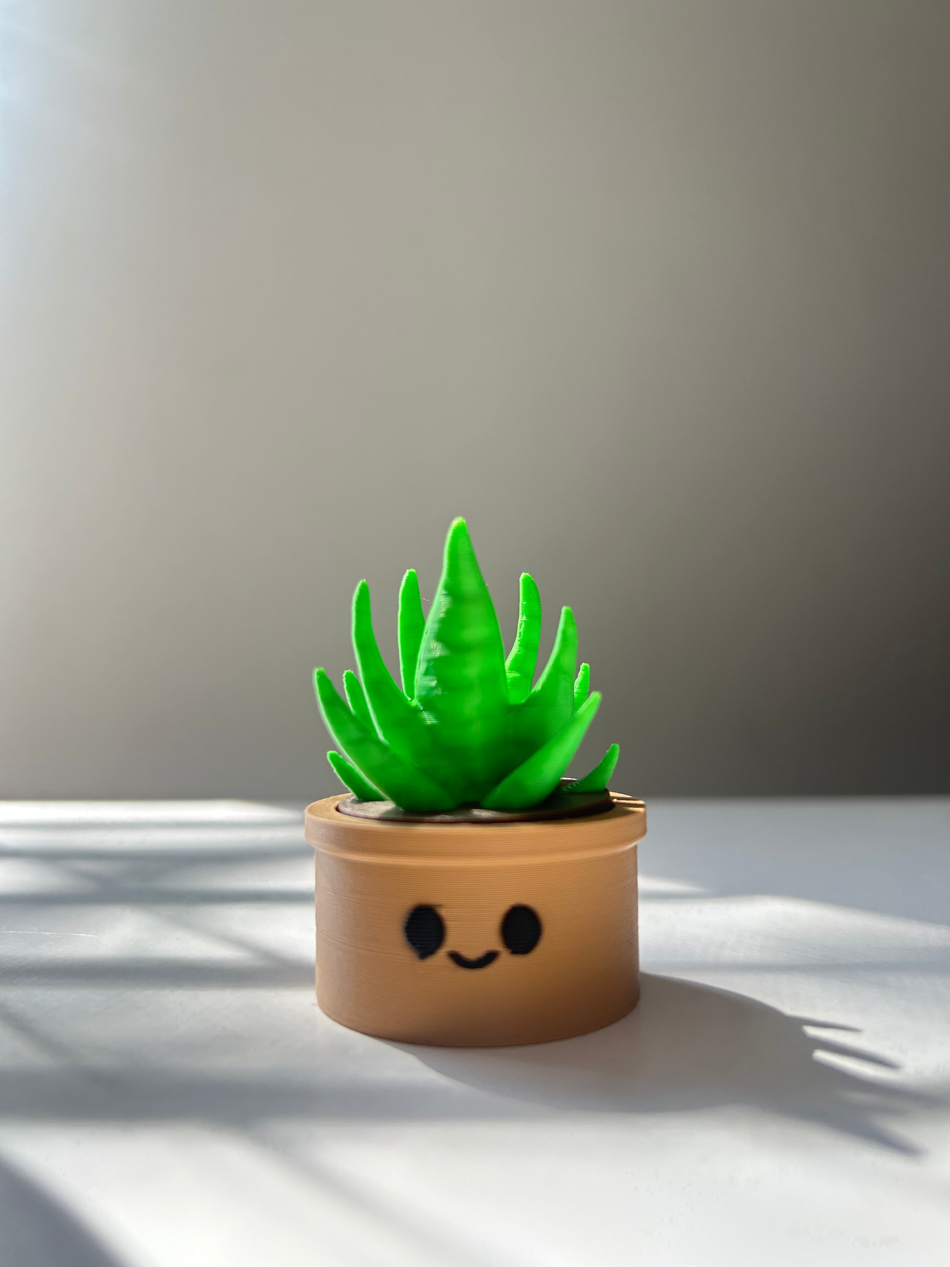 Small Succulent Fidget Clicker with a smiley face on a white surface.