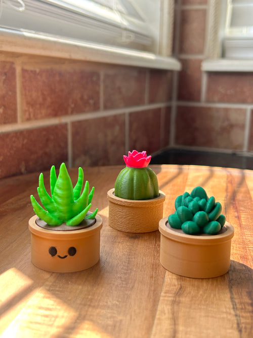 Three small Succulent and Fidget Cactus Clickers on a wooden surface.