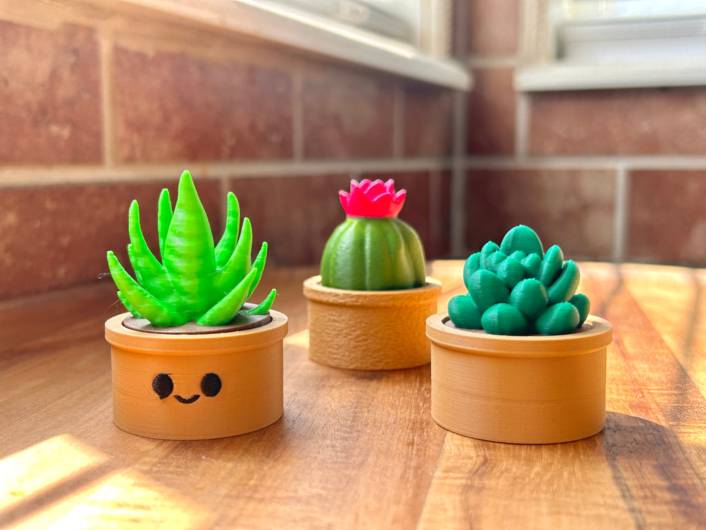 Three small Succulent Fidget Clickers pictured against a brick wall.