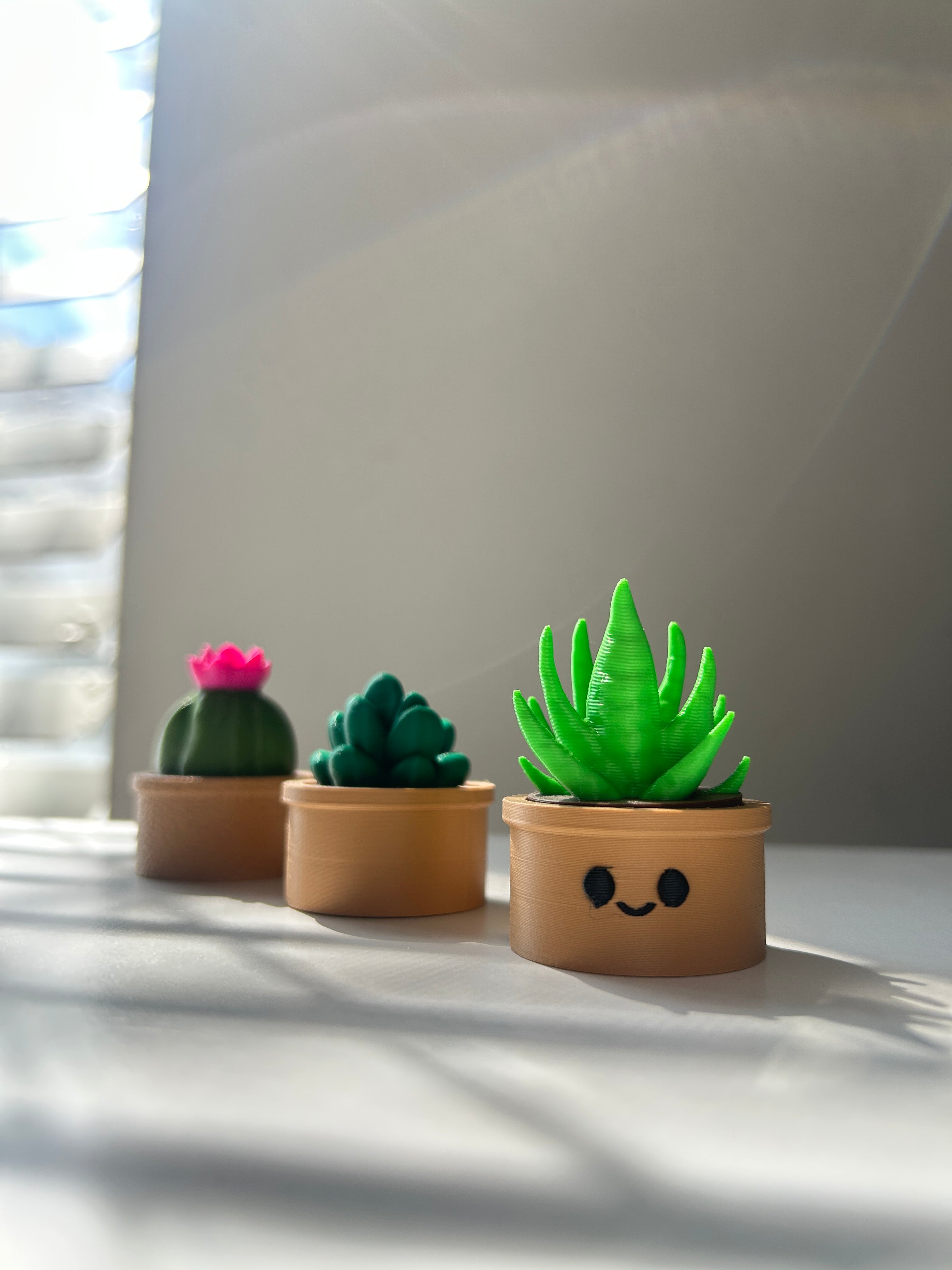 Three small Succulent and Fidget Cactus Clickers on a white surface.