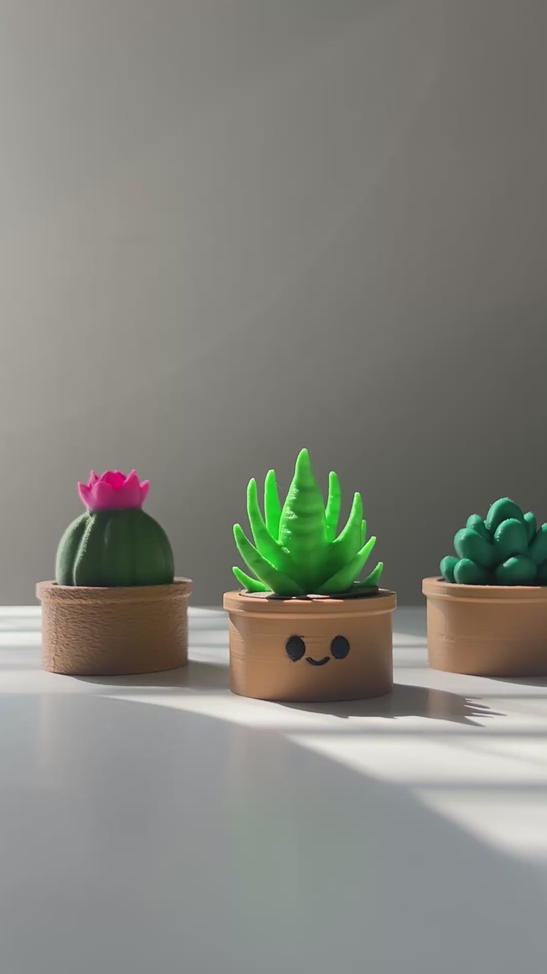 Panning around three Succulent Fidget Clickers